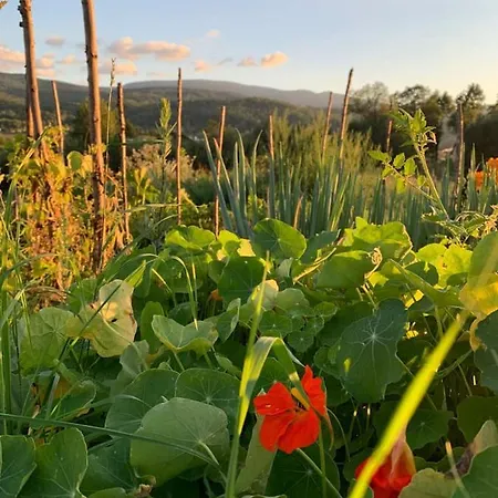 Apartment Male Ziolko Sosnowka (Jelenia Gora)