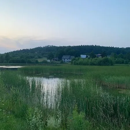 Male Ziolko Sosnówka