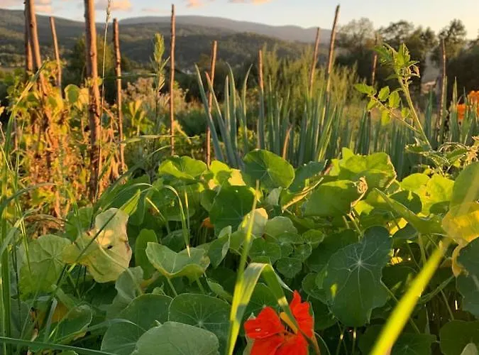Apartment Male Ziolko Sosnowka (Jelenia Gora)