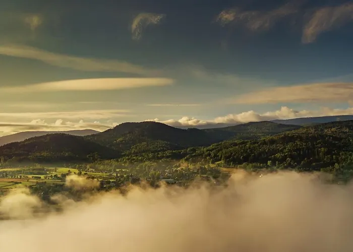 Male Ziolko Apartment *