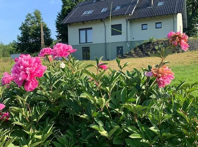 Male Ziolko Sosnowka (Jelenia Gora)